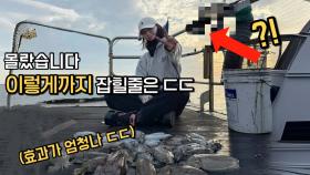 추울수록 효과좋다는 갑오징어낚시 ‘그 비결!’ 이건 상상도 못했는데!?