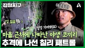 ※비상 상황※ 마을 근처에 코끼리가 나타났다?! 코끼리 추격 대작전
