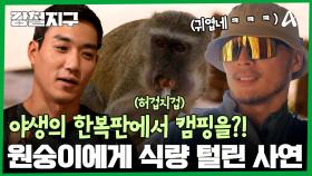 사파리 한복판에서 야생 동물들과 만나다?! 낭만 넘치는 반전 롯지