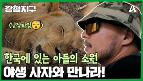 무사히 숙소로 돌아온 강철여행자들, 사자와 만나는 최종미션을 마주하다?