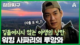 길들여지지 않는 낭만이 살아 숨쉬는, 워킹 사파리의 발상지 루앙와