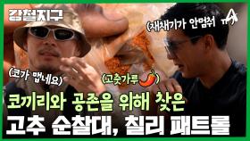 주민들이 코끼리와의 공존을 위해 찾은 방법, 칠리 패트롤