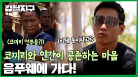 코끼리와 사람이 공존하고 있는 마을, 음푸웨에 가다!