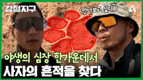 야생의 심장을 향해 걷는 강철 여행자들! 사자와 하마의 흔적을 만나다?!