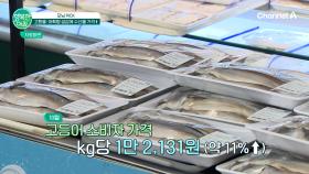 고환율,어획량 급감에 수산물 가격 비상!