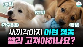 새끼강아지 당연한 행동인데…왜 다들 문제라고 할까요?