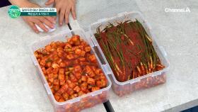 만능 김장양념으로 만들어보는 김치