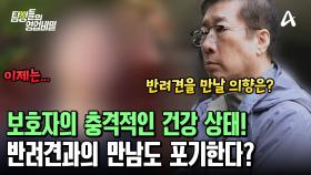 ＂제가 이렇게 아플 줄은 몰랐어요＂ 반려견을 책임질 수 없는 보호자의 건강 상태?!