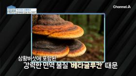 늘 먹는 밥을 바꿔서 면역력을 높인다? 상황버섯이 면역력에 도움이 되는 이유?