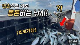 단돈 7만원 방어낚시! 장비, 채비 없이 가도 잔뜩잡는곳?!? ㄷㄷ