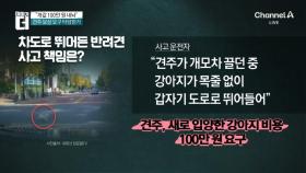 목줄 없이 도로 나와 사망…견주 “개값 100만 원 내놔”