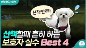 강아지가 짖을 수 밖에 없는 보호자의 행동