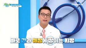 혈당 관리에 도움되는 이것! 여주 분말이 체중 조절에 도움되는 이유