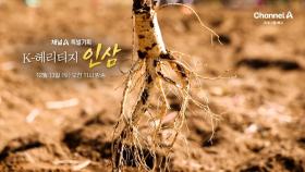 [예고] 한국인과 함께 해온 뿌리 깊은 맛! 인삼, 황금빛 미래를 꿈꾸다