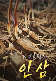 특별기획 K-헤리티지 인삼