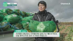 김장 나눔, 따뜻한 겨울을 담다