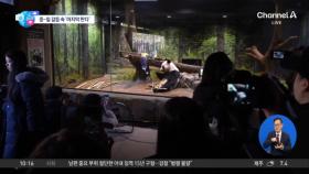 [앉아서 세계 속으로]중일 갈등 속 ‘마지막 판다’…日 팬들 ‘눈물의 작별’