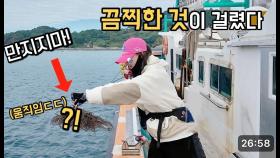 문어낚시 중 정체불명의 생명체가 낚였습니다! 소름돋는 반전 정체 ㄷㄷㄷ