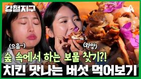 숲 속에서 하는 보물 찾기! 치킨 맛이 나는 버섯을 찾아라?