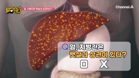 암, 지방간은 뱃살과 상관이 있을까? 뱃살은 단순한 지방덩어리가 아니다!