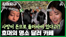 사방에 빽빽하게 붙어 있는 지폐들! 돈으로 가득찬 카페에 가다!