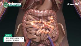 숨만 쉬어도 살찐다! 겨울철 장 건강을 위협하는 