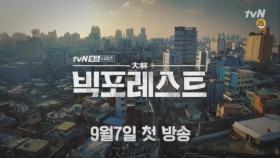 tvN 불금시리즈 ＜빅 포레스트＞ '내가 대림동으로 온 이유, 아무도 날 몰라보기 때문이다.'