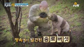 반려견 잘 둔 덕에 주인님 호강한 사연