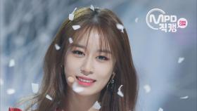 [Fancam] T-ara Ji Yeon - Tiamo KPOP FANCAMM COUNTDOWN 20161110 EP.500