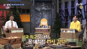 미국 최고의 대학, 꿈의 직장 M사 경력의 소유자! 뇌섹녀 등장~