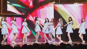 ′최초공개′ 에 빠진 소녀들 ′프리스틴′의 ′알로하′ 무대