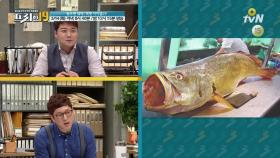[선공개] 잡으면 잭팟! 몸값 5억(?)의 못난이 생선
