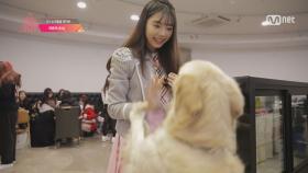 101 소녀들을 찾아온 의문의 손님 '슈슈' (dogcam)