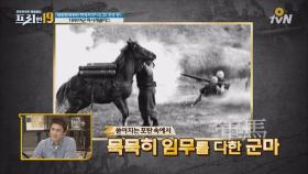 세계 100대 영웅 '레클리스' 그녀의 정체는 말(Horse)?!