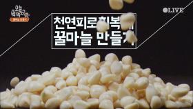 홈메이드 천연피로회복제 ′꿀마늘′ 만들고 사랑받자!