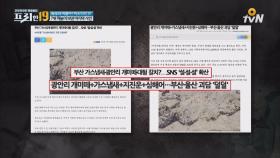 지진 전조증상! 부산, 울산 괴담 사실일까?