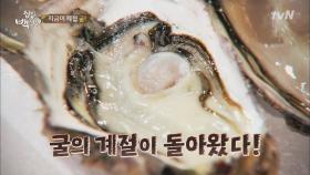 백샘, 레몬&핫소스로 ′생굴′ 맛있게 먹는 핵꿀팁!