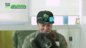 [선공개] 김민교, 애견과 함께하는 강아지요가(도가)에 도전!