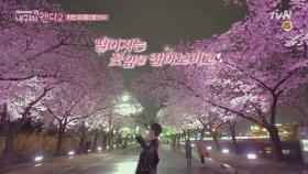 백성현&박은빈, 한밤의 벚꽃엔딩