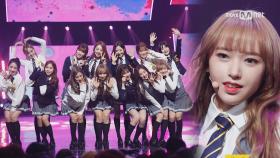 이것이 바로 ′우주소녀′의 극강매력 ′너에게 닿기를′ 무대