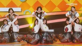 ′최초공개′ 사랑에 빠진 아홉 소녀들 ′다이아′의 ′나랑 사귈래′ 무대