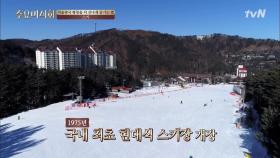 겨울 스포츠의 성지 평창! 한국 최초의 현대식 스키장도 이곳에?!