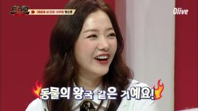 정소영, ＂강호동의 천생연분은 동물의 왕국같았다!＂