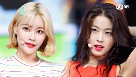 상큼발랄 서머송! ′AOA′의 ′빙글뱅글′ 무대