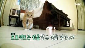 [예고] 김완선, 육냥이 친해지기 프로젝트 2탄!