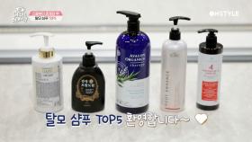 [TOP5] 풍성한 머리를 위한 탈모 샴푸 브랜드 TOP5 대공개