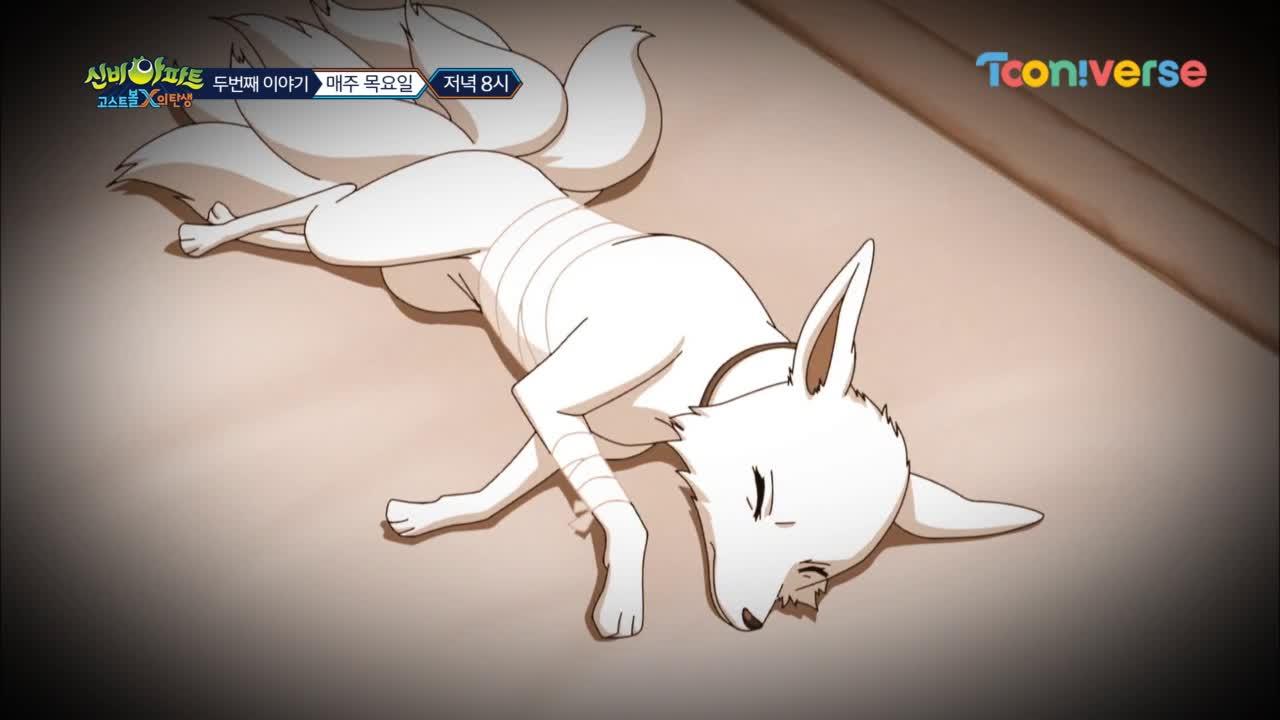 희원의 아버지가 돌아오시지 않는 이유 | ZUM TV 희원의 아버지가 돌아오시지 않는 이유