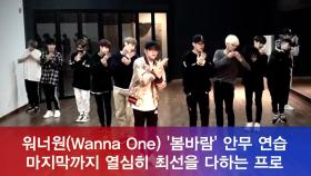 워너원(Wanna One) 신곡 