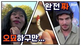 오늘의 웰컴디쉬 메르치볶음! 파리지앵도 좋아할까 ?_?