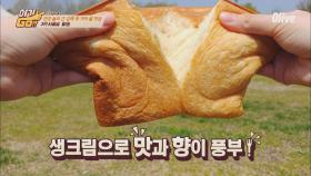 [형돈PICK 3위] 잔디밭에 앉아 식빵한입! 빵순이 저격 (빵야!)